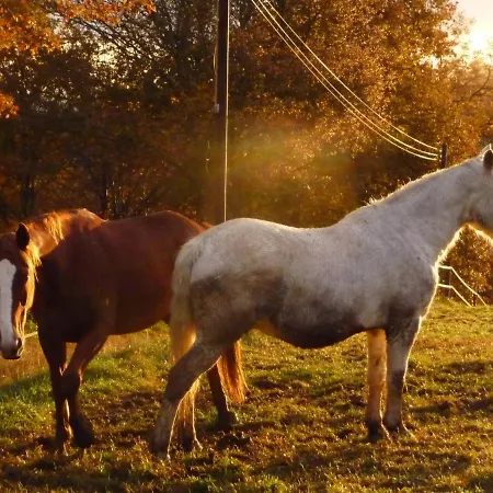 Chez Juliette Maison