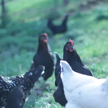 Chez Juliette Maison Pensión 3*