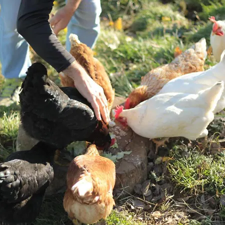 招待所 Chez Juliette Maison 3*