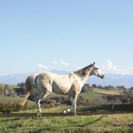 Chez Juliette Maison 招待所