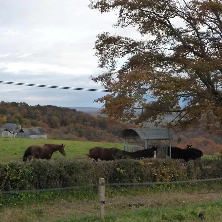 Chez Juliette Maison 招待所 Rontignon