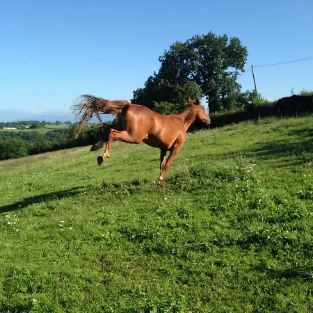 Chez Juliette Maison 3* Rontignon