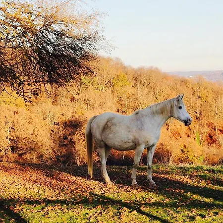Chez Juliette Maison 3* Rontignon