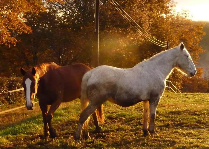 Chez Juliette Maison