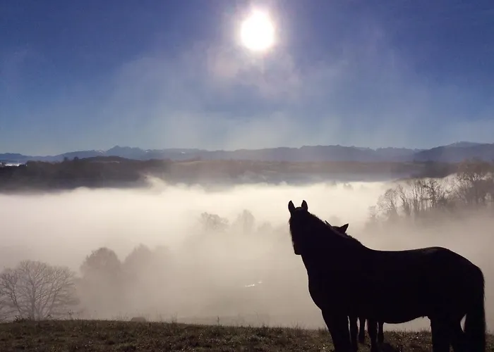 Gasthuis Chez Juliette Maison