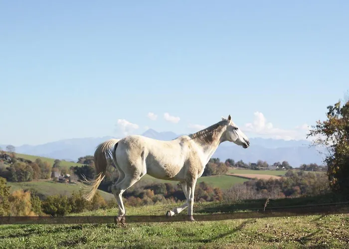 Chez Juliette Maison Gasthuis