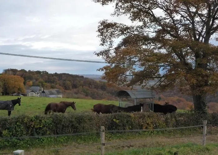 Chez Juliette Maison Pensjonat Rontignon