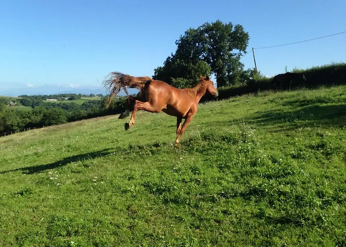 Chez Juliette Maison 3* Rontignon