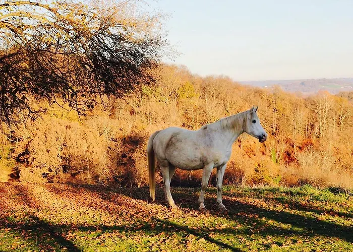 Chez Juliette Maison 3* Rontignon